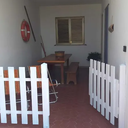 Salento Di Massimo Ferilli - Fico San Giovanni Torre Pali